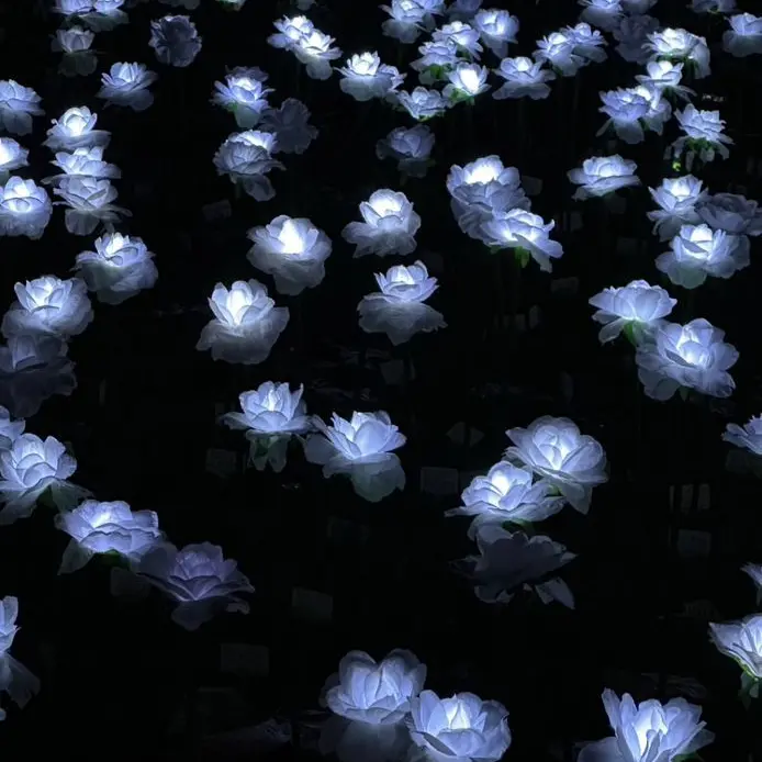 Lia_251의 ただの幼馴染…？