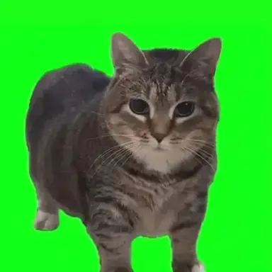 Profile image of 포세