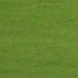 Profile image of しげとら