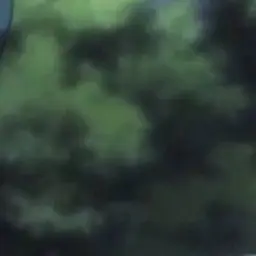 Profile image of 梁山伯