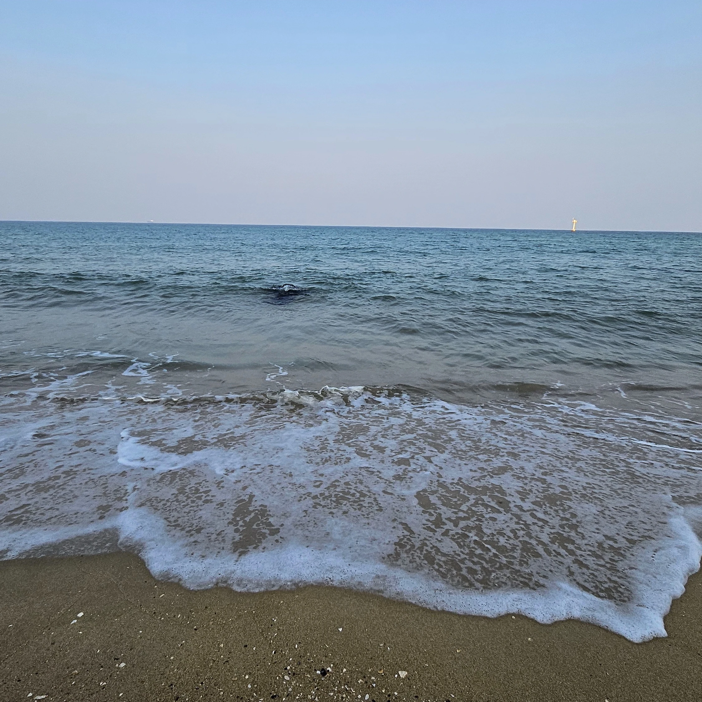학생1