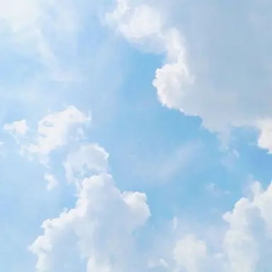 Profile image of 이로 클라우드