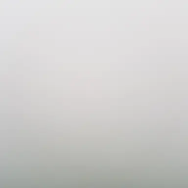 Profile image of 모찌엘