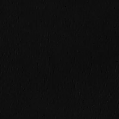 Profile image of 黎