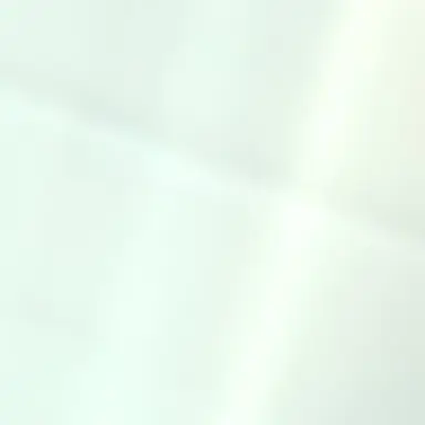 Profile image of 최슩첤