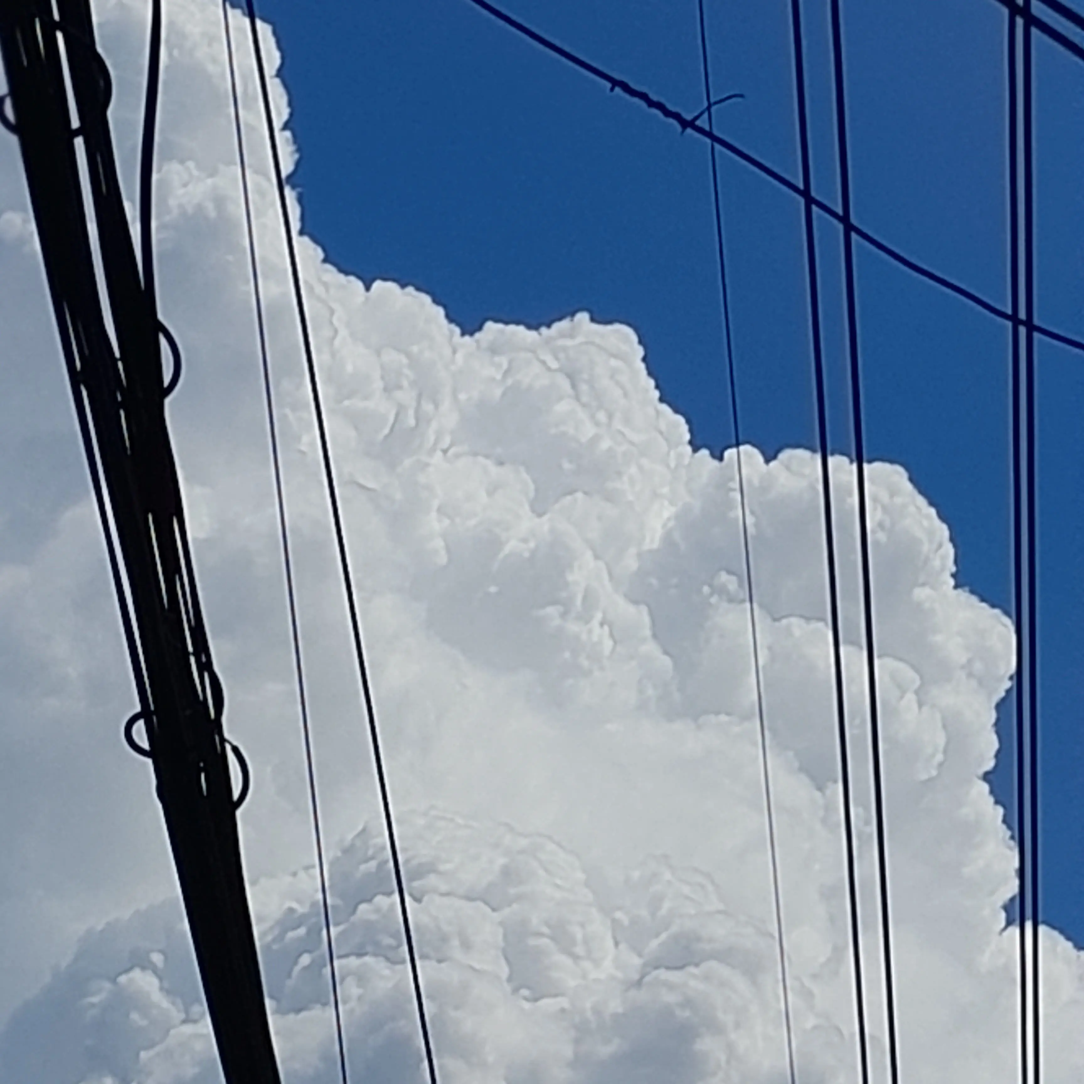 1004ehj의 연습