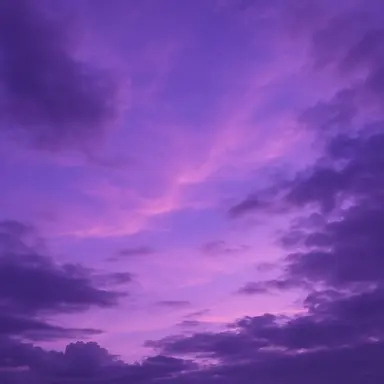 Profile image of 수현