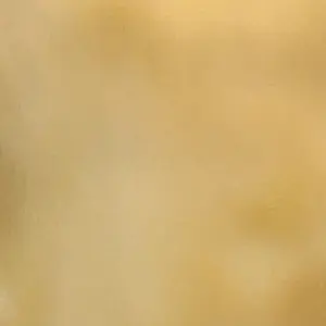 Profile image of 서히권