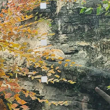 Profile image of 이나경