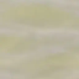 Profile image of イオ