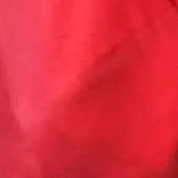Profile image of シノ