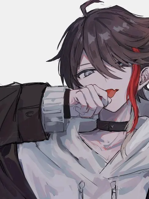 core_.의 あっきーな