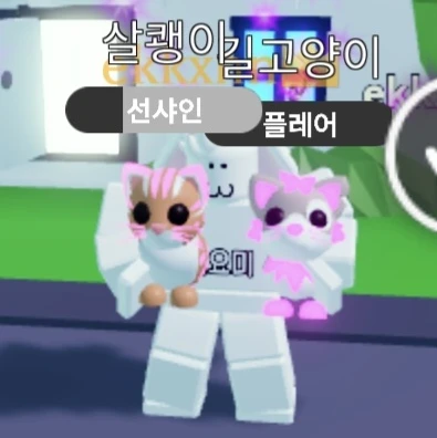 음악 쌤
