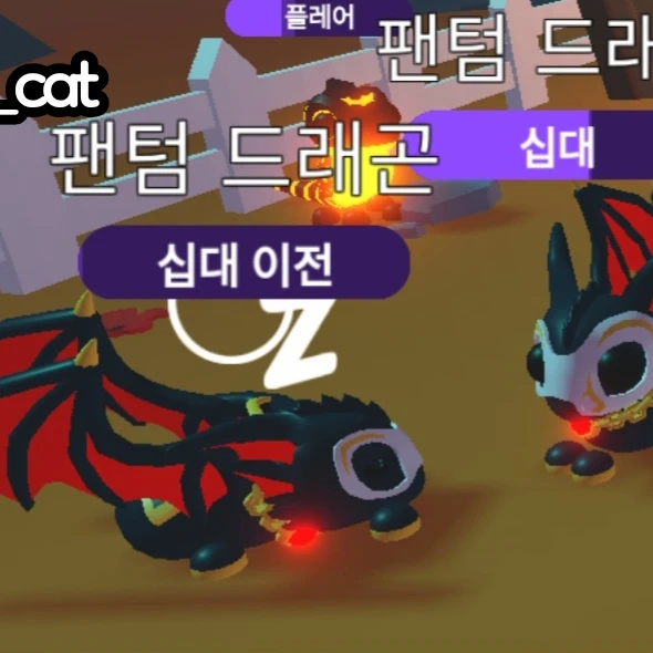 국어쌤