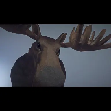 Profile image of 무스