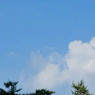 Profile image of ユ・ジュヨン