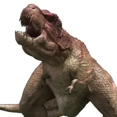 Profile image of 片目