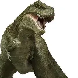 Profile image of パッチ