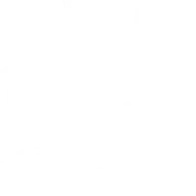 Profile image of 버글