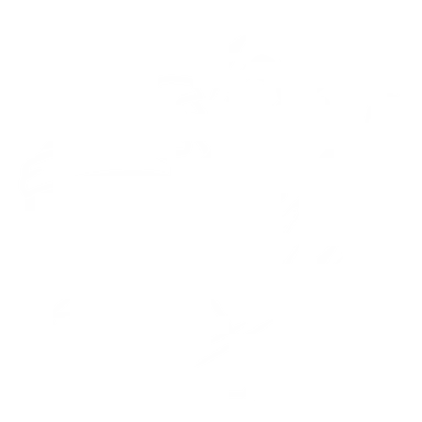 Profile image of 대쉬