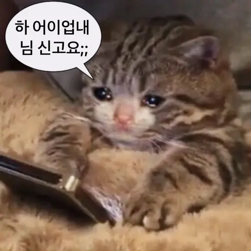 EFEIQ의 잼미니