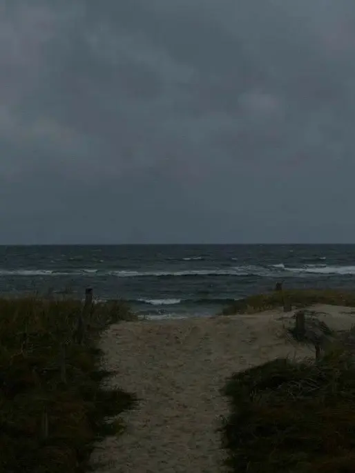 Young0070의 소꿉친구