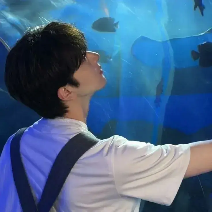 QuaintWiper7975의 Kaelan