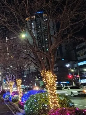 PANAM2011222의 내 봄날은...