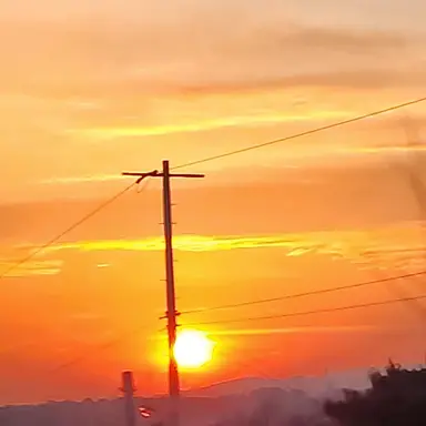 Profile image of 코마