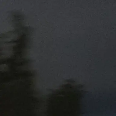 Profile image of 우융