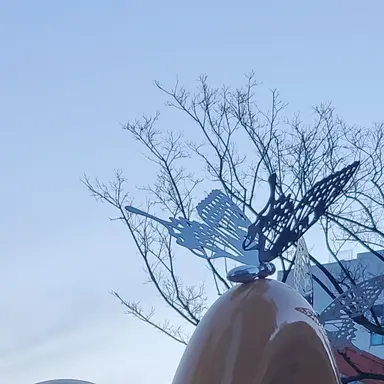 Profile image of 파이브