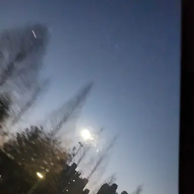 Profile image of 행크