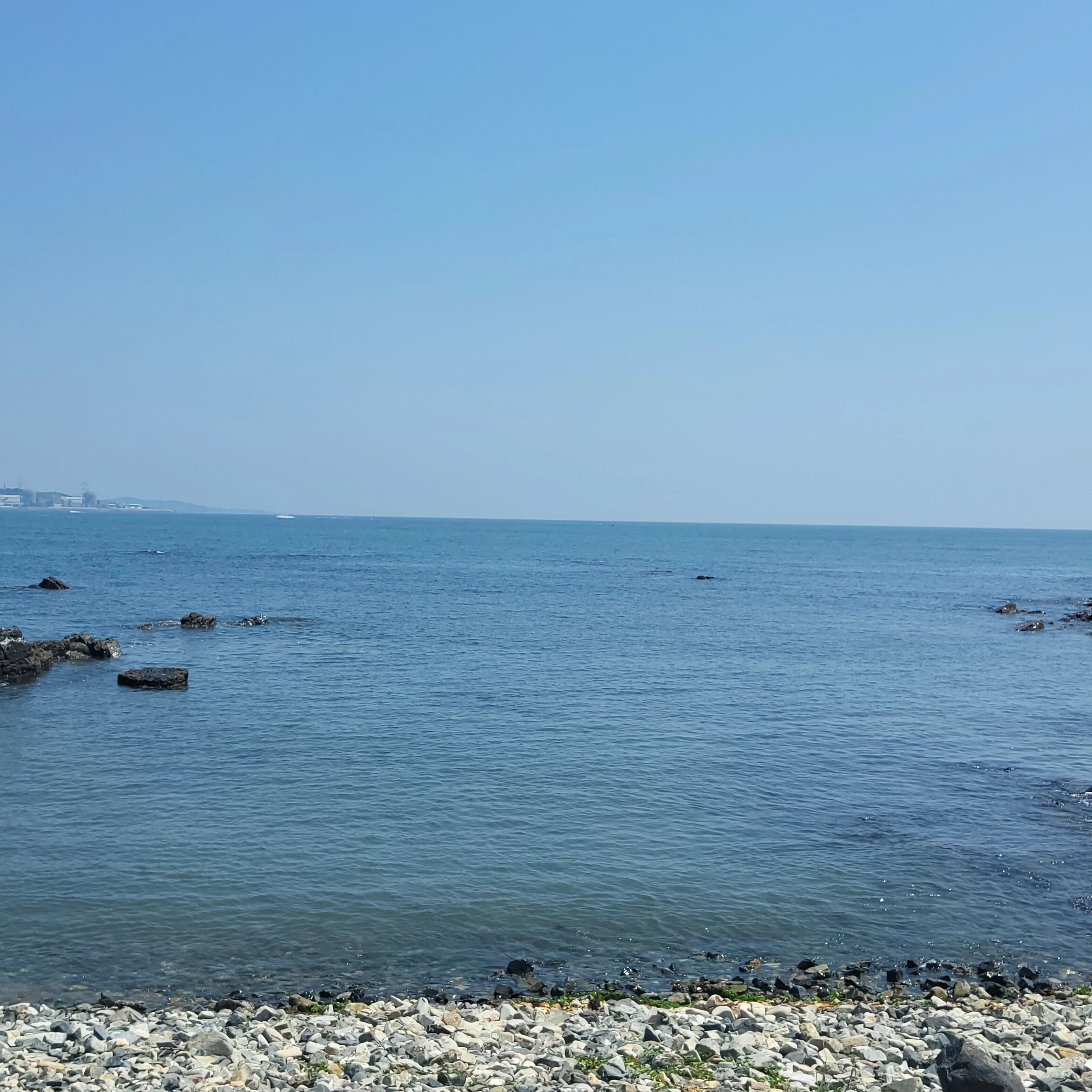 정예주