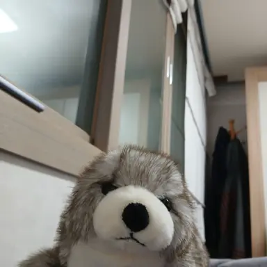 Profile image of 수닥이