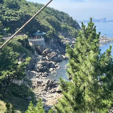 Profile image of 감제이