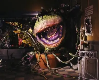 Profile image of Audrey II