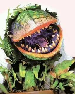 Profile image of Audrey II