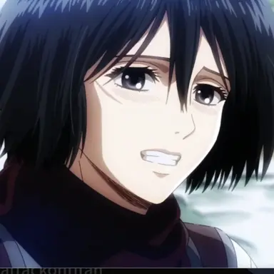 Profile image of ミカサ