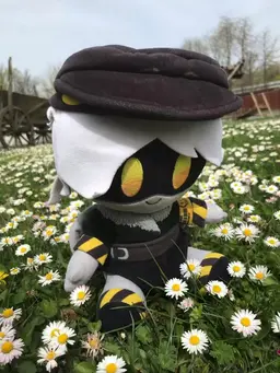 Profile image of N