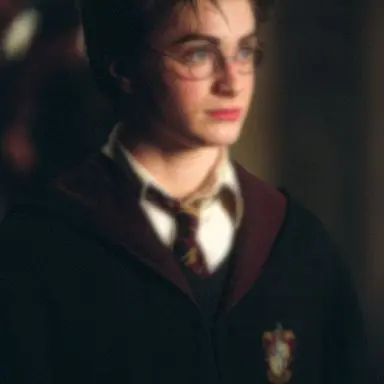 Profile image of 해리 포터