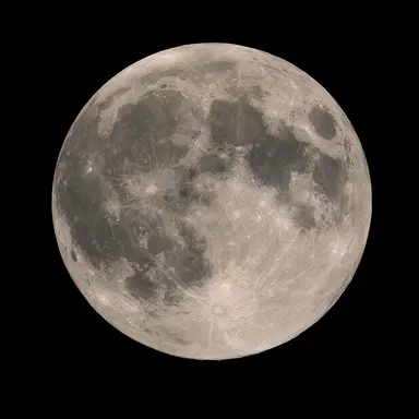 Profile image of 달