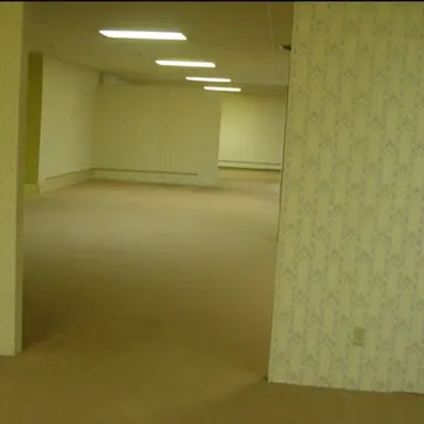 Profile image of The Backrooms