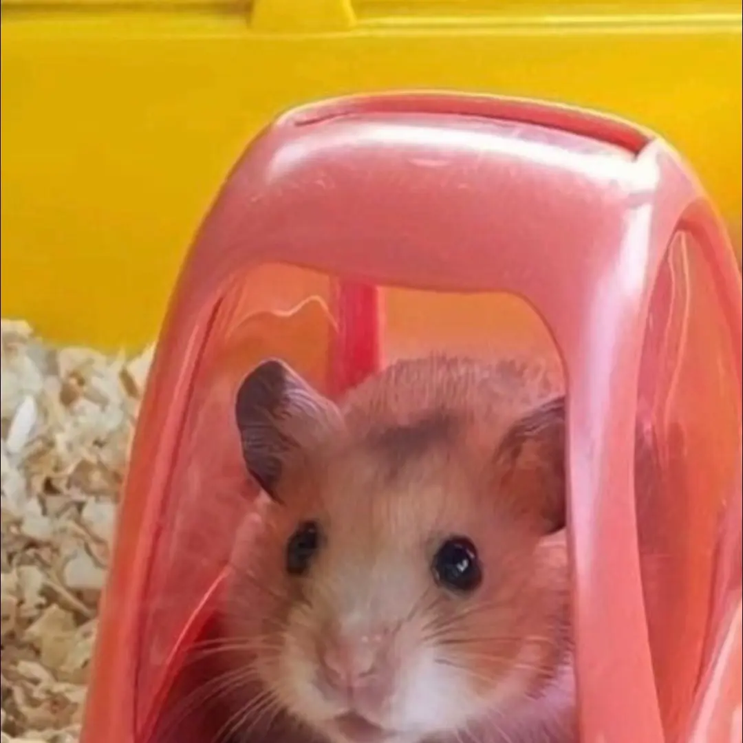 RunnyMop4244의 당신이 방귀녀