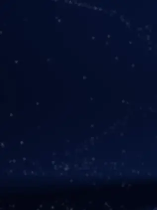 orereo의 自分用 D