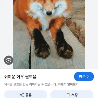 Profile image of 여우