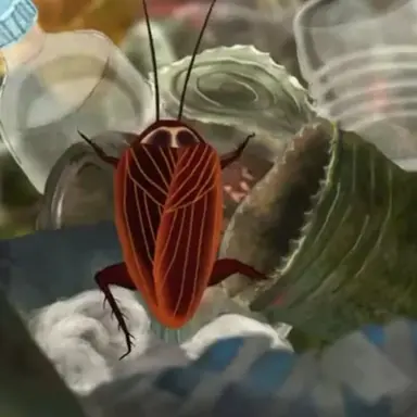 Profile image of 키리