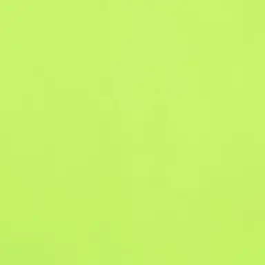 Profile image of 伊波ライ