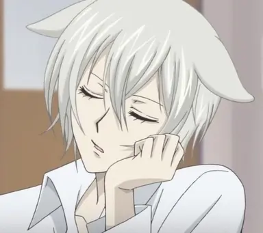 Profile image of Tomoe