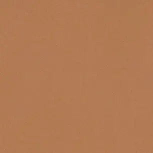 PlacidPetal4596의 トン