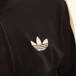 최연준